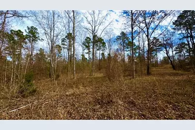 0 An County Rd 1233, Palestine, TX 75801 - Photo 19