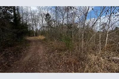 0 An County Rd 1233, Palestine, TX 75801 - Photo 9