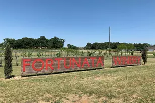 7517 Fenton Pkwy, Pilot Point, TX 76258 - Photo 11