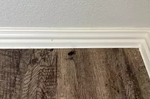 2006 Yale St, Farmersville, TX 75442 - Photo 27