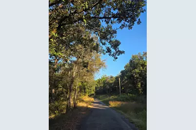 Lot 466 Cr-4710, LaRue, TX 75770 - Photo 3