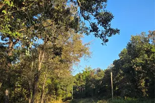 Lot 466 Cr-4710, LaRue, TX 75770 - Photo 3