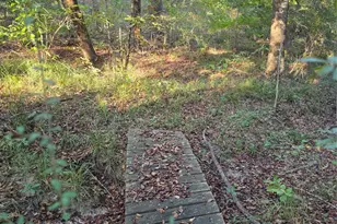 Lot 466 Cr-4710, LaRue, TX 75770 - Photo 23