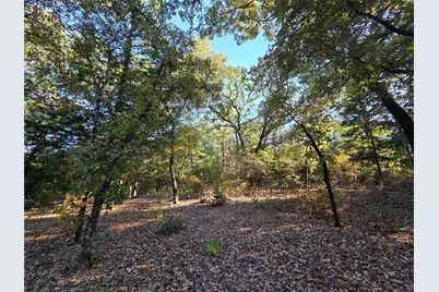 Lot 466 Cr-4710, LaRue, TX 75770 - Photo 7