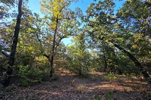 Lot 466 Cr-4710, LaRue, TX 75770 - Photo 1