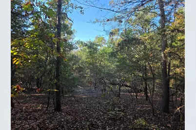 Lot 466 Cr-4710, LaRue, TX 75770 - Photo 15