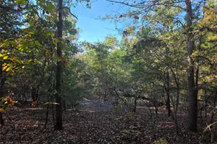 Lot 466 Cr-4710, LaRue, TX 75770 - Photo 15