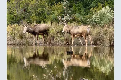 Lot 466 Cr-4710, LaRue, TX 75770 - Photo 33