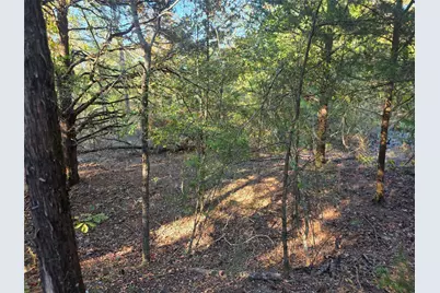 Lot 466 Cr-4710, LaRue, TX 75770 - Photo 9