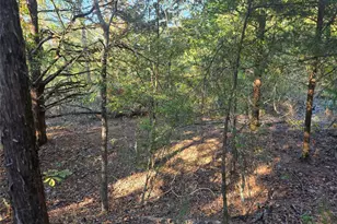 Lot 466 Cr-4710, LaRue, TX 75770 - Photo 9