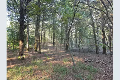 Lot 466 Cr-4710, LaRue, TX 75770 - Photo 25