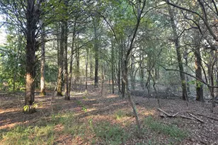 Lot 466 Cr-4710, LaRue, TX 75770 - Photo 25