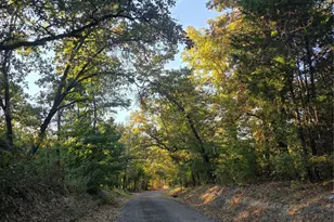 Lot 466 Cr-4710, LaRue, TX 75770 - Photo 37