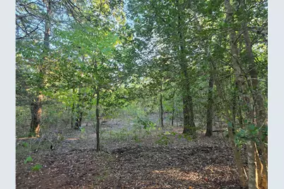 Lot 466 Cr-4710, LaRue, TX 75770 - Photo 21