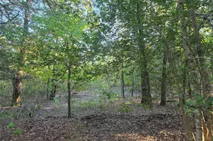 Lot 466 Cr-4710, LaRue, TX 75770 - Photo 21
