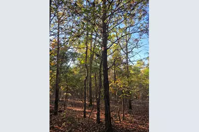 Lot 466 Cr-4710, LaRue, TX 75770 - Photo 13