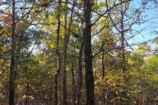 Lot 466 Cr-4710, LaRue, TX 75770 - Photo 13