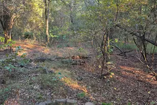 Lot 466 Cr-4710, LaRue, TX 75770 - Photo 27