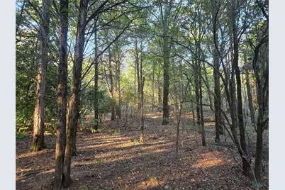 Lot 466 Cr-4710, LaRue, TX 75770 - Photo 39