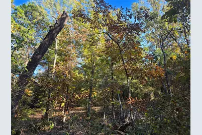 Lot 466 Cr-4710, LaRue, TX 75770 - Photo 17