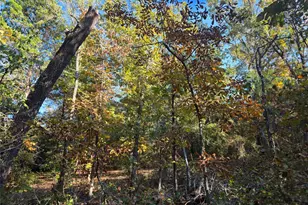 Lot 466 Cr-4710, LaRue, TX 75770 - Photo 17