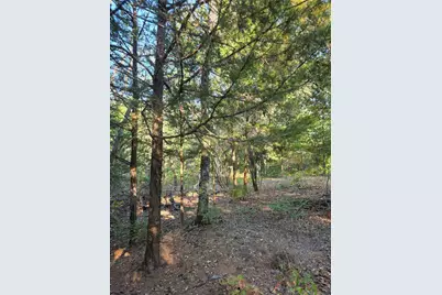 Lot 466 Cr-4710, LaRue, TX 75770 - Photo 11