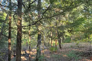 Lot 466 Cr-4710, LaRue, TX 75770 - Photo 11