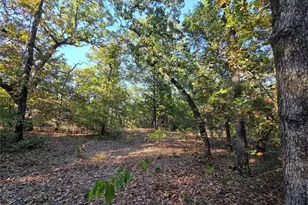 Lot 466 Cr-4710, LaRue, TX 75770 - Photo 5
