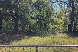 1713 W Frank St, Grand Saline, TX 75140 - Photo 9