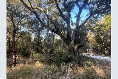 3901 County Road 3110, Purdon, TX 76679 - Photo 5