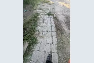 3901 County Road 3110, Purdon, TX 76679 - Photo 39