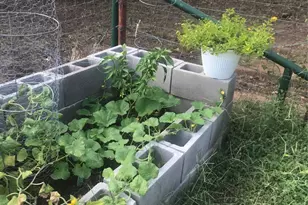 5405 County Rd 704D, Cleburne, TX 76031 - Photo 21