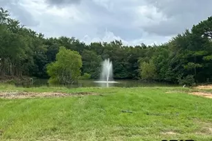 Lot 1 Oak River, Frankston, TX 75763 - Photo 7