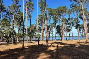 Lot 1 Oak River, Frankston, TX 75763 - Photo 3