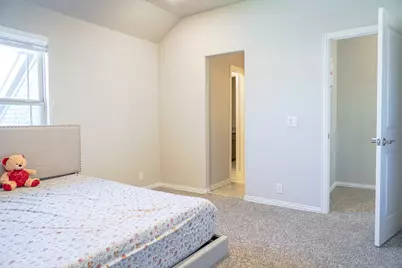 16905 Tussock Avenue, Justin, TX 76247 - Photo 27