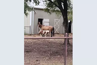 613 Bone Road, Valley Mills, TX 76689 - Photo 29