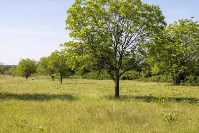11701 Bowden Road, Lipan, TX 76462 - Photo 5