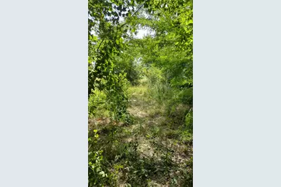 6266 Turkey Oak, Josephine, TX 75189 - Photo 13