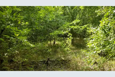 6266 Turkey Oak, Josephine, TX 75189 - Photo 17