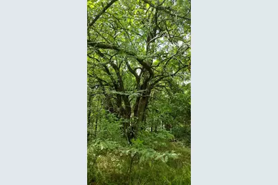 6266 Turkey Oak, Josephine, TX 75189 - Photo 19