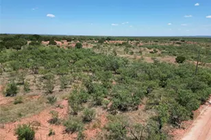 5725 FM 604, Ovalo, TX 79541 - Photo 7
