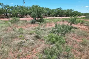 5725 FM 604, Ovalo, TX 79541 - Photo 9