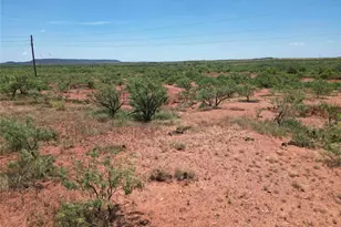 5725 FM 604, Ovalo, TX 79541 - Photo 11