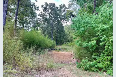 8880 Fm 729, Avinger, TX 75630 - Photo 21