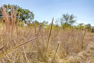 5878 Greenwood Rd, Millsap, TX 76066 - Photo 37