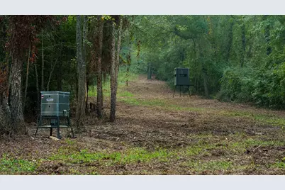 Tbd C R 354, Winona, TX 75792 - Photo 1