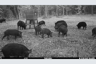 Tbd C R 354, Winona, TX 75792 - Photo 33