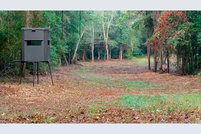 Tbd C R 354, Winona, TX 75792 - Photo 5