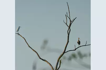 Tbd C R 354, Winona, TX 75792 - Photo 21