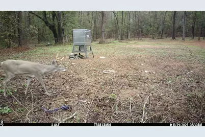 Tbd C R 354, Winona, TX 75792 - Photo 3